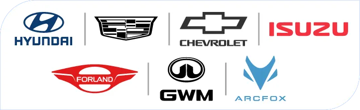 Revisiones de agencia hyundai cadillac chevrolet isuzu gwm-arcfox-forland Revisiones de agencia hyundai cadillac chevrolet isuzu gwm arcfox forland